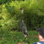 One of the many birds we saw