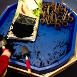 We had fun planting seeds