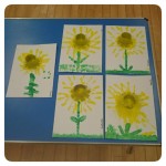 Our St Davids Day Daffodils