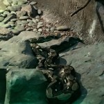 Ssssssnake!