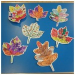 Our colourful autumn leaves