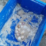 We had great fun making sand dough
