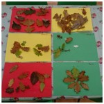 Our beautiful Autumn leaf collages