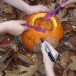 We had great fun scooping out the middle and decorating our pumpkin