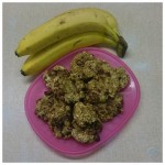 We enjoyed making these banana and oat cookies