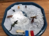 47581006_1983499201943780_8161167113487122432_n