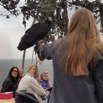 We saw some birds during the shows