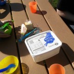 After our picnic we had we enjoyed some ice-cream and cake