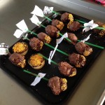 Our delicious Ice Age Cake Pops