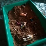 Fun with the animals in the sand