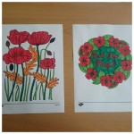 look at these lovely poppy pictures
