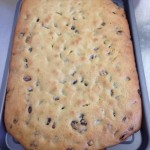 Squashed fly cake otherwise known as sultana cake