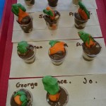 We made our own edible carrot pots, they were tasty