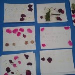 we did some natural collages