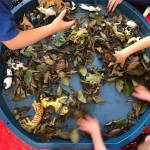 Having fun playing with the animals in the leaves
