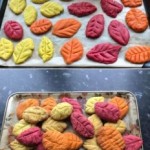 Believe it or not these were actually biscuits, they tasted as great as they looked