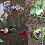 we really enjoyed it when abbie from forest school visited