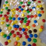 and Rainbow Bark, it was very tasty