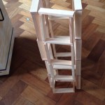 More building with the wooden bricks