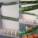 Our caterpillars came out of their chrysalis, we have 5 beautiful butterflies now