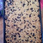 and our delicious raisin flapjack