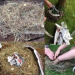 At forest school we built nests for the birds and came up with stories to sell the nests