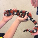 We got to hold a snake